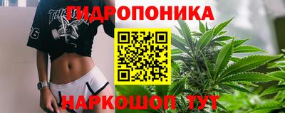 Альфа ПВП Тверь