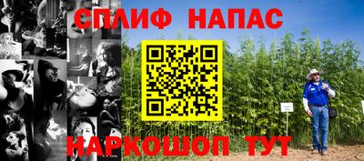 гидра Татарск