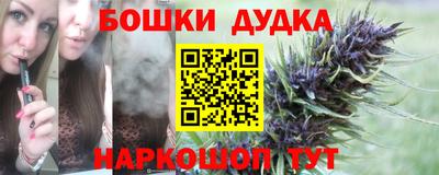 гидра Татарск