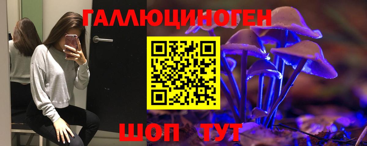 Новошахтинск  Псилоцибиновые грибы Psilocybe  Вход с VPN 